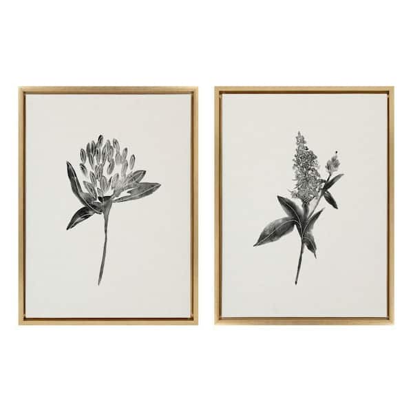 Kate and Laurel Sylvie "Vintage Botanical 1 and 2" by Teju Reval of Snazzyhues 2 Piece Framed Art Print 24 in. x 18 in.