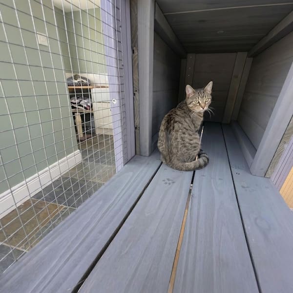Tunearary 62.6 in. Gray Large Multi-Level Wooden Cat House with