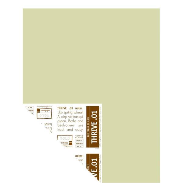 YOLO Colorhouse 12 in. x 16 in. Thrive .01 Pre-Painted Big Chip Sample