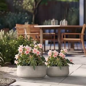 Lightweight 13.5 in. x 16.5 in. Dia Light Gray Large Round Concrete Plant Pot/Planter for Indoor and Outdoor Set of 2