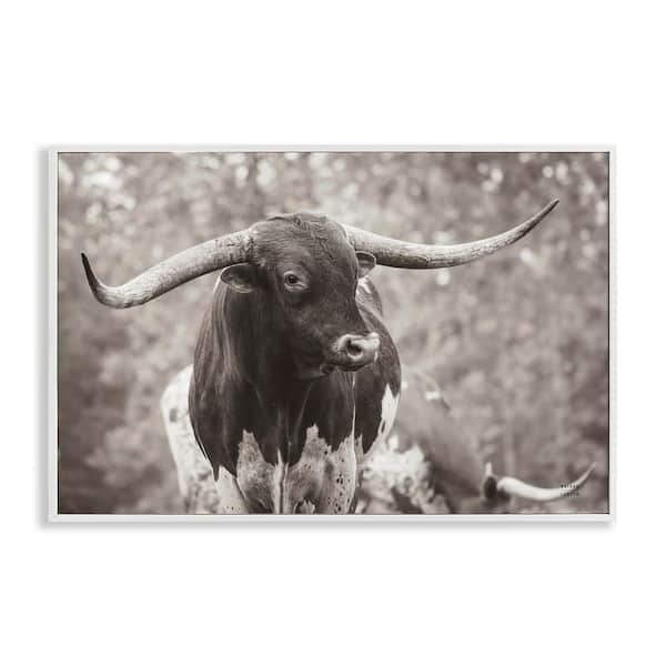 Stupell Industries Longhorn's Gaze Photography by Nathan Larson White Framed Animal Giclee Art Print 12 in. x 18 in.