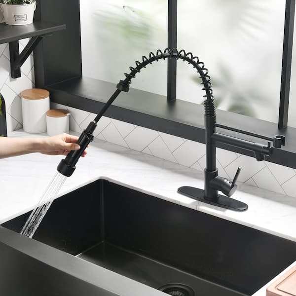 Tahanbath Single Handle Pull Out Kitchen Faucet Deckplate Included