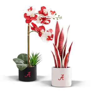 20 in. Alabama Crimson Tide Artificial Snake Plant and Orchid - Fan-Favorite College University Gift Bundle (2-Pack)