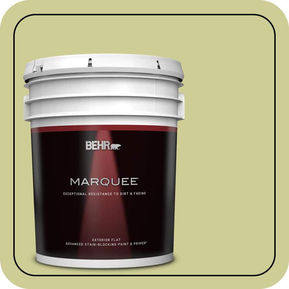 5 gal. #400D-4 Corn Husk Green Flat Exterior Paint & Primer product image for price tracking