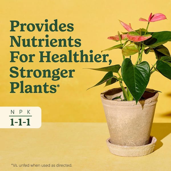 Miracle-Gro Indoor Plant Food for All Plants 8 fl. oz. Liquid Plant Food  for Houseplants, Flowers, Vegetables, Herbs, and More 3421306 - The Home  Depot