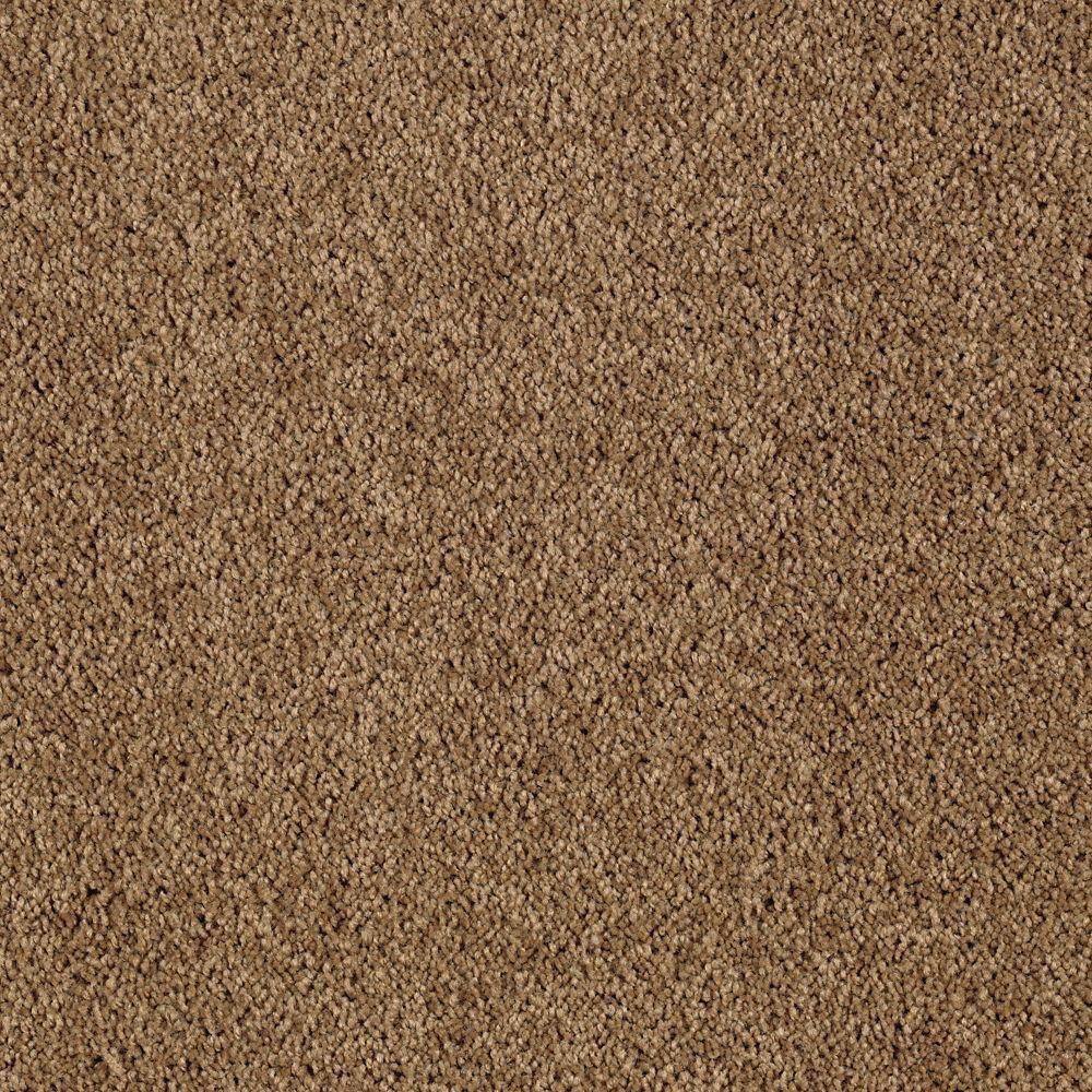 8 in. x 8 in. Texture Carpet Sample - Ambrosina I -Color Cigar Leaf price history on PriceWatchPro