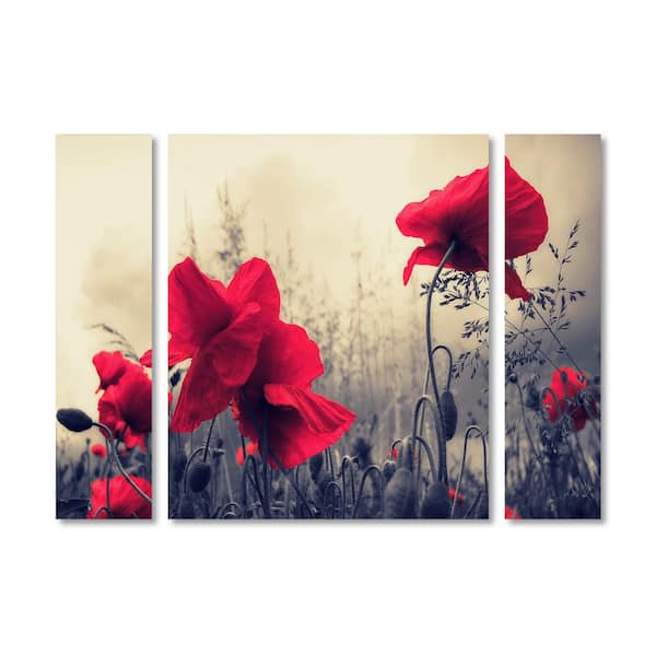 Trademark Fine Art 30 in. x 41 in. "Red For Love" by Philippe Sainte-Laudy Printed Canvas Wall Art