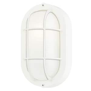 1-Light White on Steel Exterior Wall Fixture with White Glass Lens