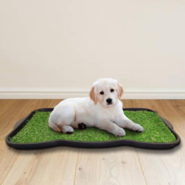dog potty tray