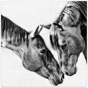 38 in. x 38 in. "Kindred Colts" Unframed Free Floating Tempered Glass Panel Animal Art Print Wall Art