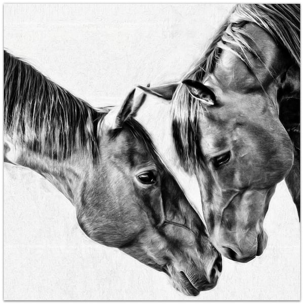 Empire Art Direct 38 in. x 38 in. "Kindred Colts" Unframed Free Floating Tempered Glass Panel Animal Art Print Wall Art