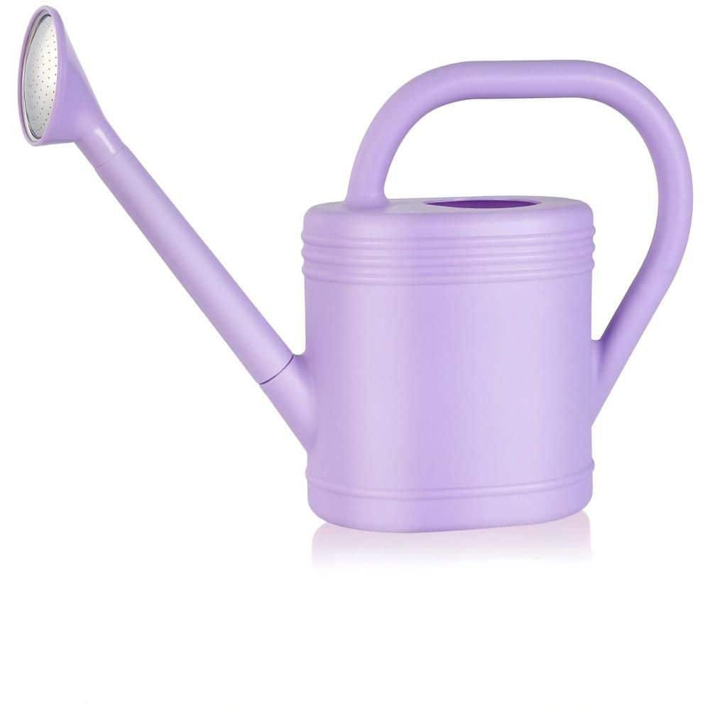 Modern Plant Watering Can, 1 gal. Purple Plastic, Long Spout with Detachable Sprinkler Head, Indoor Outdoor Garden Can price history on PriceWatchPro