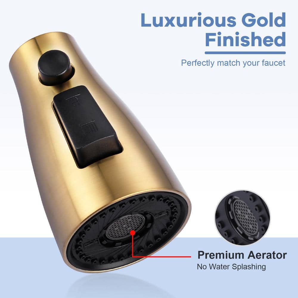 Gold 3-Function Kitchen Faucet Spray Head with 9 Adapters