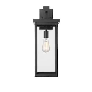 Barkeley 1-Light 8 in. Powder Coated Black Outdoor with Clear Glass