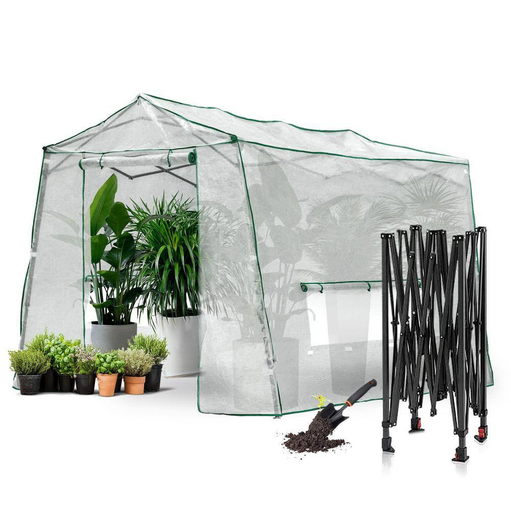 Zeus & Ruta 82.8 in. W x 102 in. D x 86.4 in. H Walk-in Greenhouse with ...