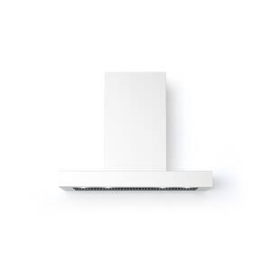 40 in. 560 CFM Wall T-Shape Mount Vent Hood with Lights in White