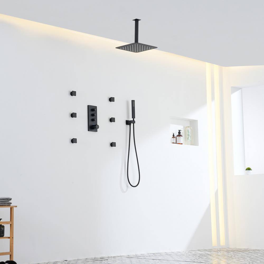 Matte Black Large Square Ceiling Mounted Dual Shower System
