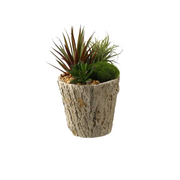 D&W Silks Artificial Indoor Easter Grass and Succulents in Weathered Oak Look Cement Planter