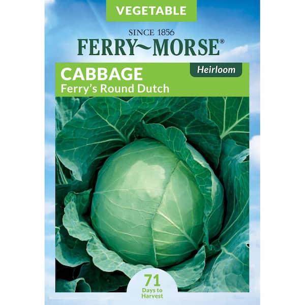 Cabbage Ferry's Round Dutch Vegetable Seed