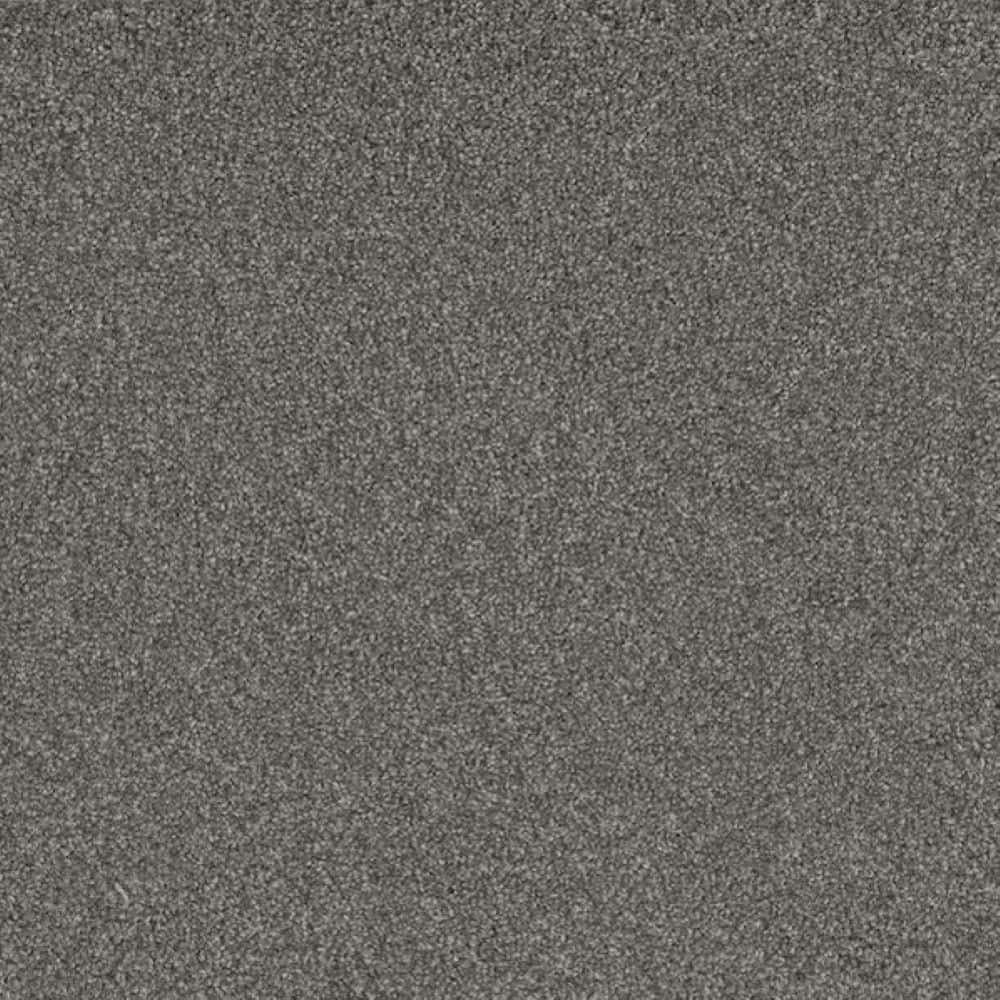 8 in. x 8 in. Texture Carpet Sample-Meringue II-Color Airy price history on PriceWatchPro