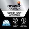 Olympic Maximum 1 gal. H1y Gold Transparent Exterior Stain and Sealer in 1-Low VOC 56502A-01