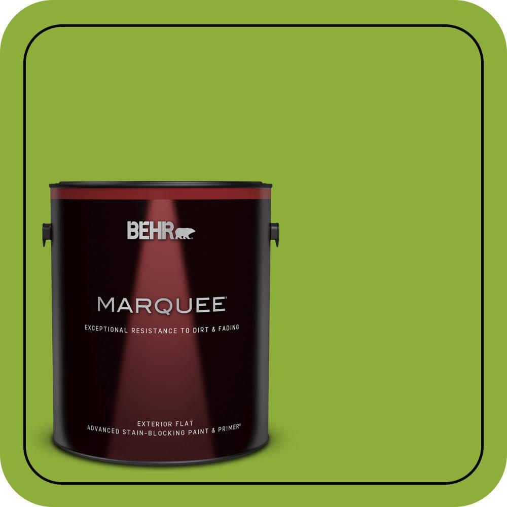 1 gal. #420B-6 New Green Flat Exterior Paint & Primer price history on PriceWatchPro