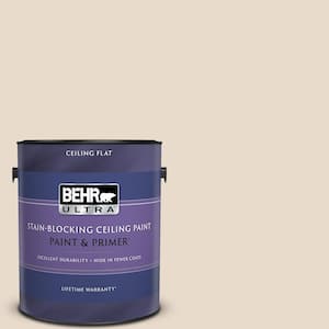 1 gal. #N240-1 Cascade Beige Ceiling Flat Interior Paint and Primer