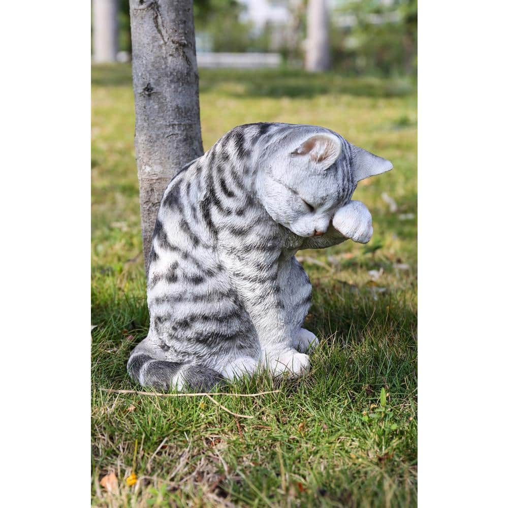 Gray Poly-resin American Shorthair Cat Washing Statue