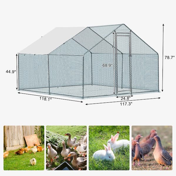 coops Karl home 10 ft x 10 ft Large Metal Chicken Run House with