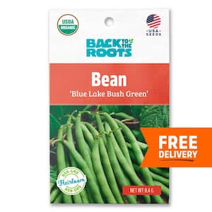 Organic Blue Lake Bush Green Bean Seed (1-Pack)
