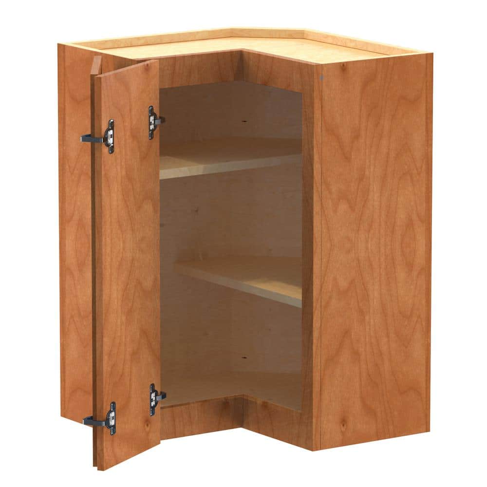 Newport 21 in. W x 12 in. D x 30 in. H Assembled Plywood Corner Wall Kitche