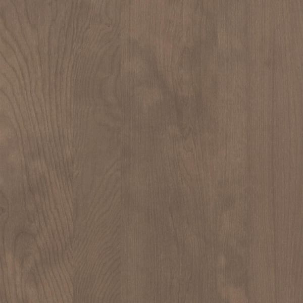 American Woodmark Hanover 14 9/16-in. W x 14 1/2-in. D x 3/4-in. H Cabinet Door Sample in Maple Latte