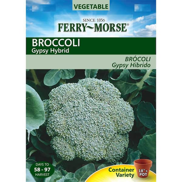 Ferry-Morse Broccoli Gypsy Hybrid Seed