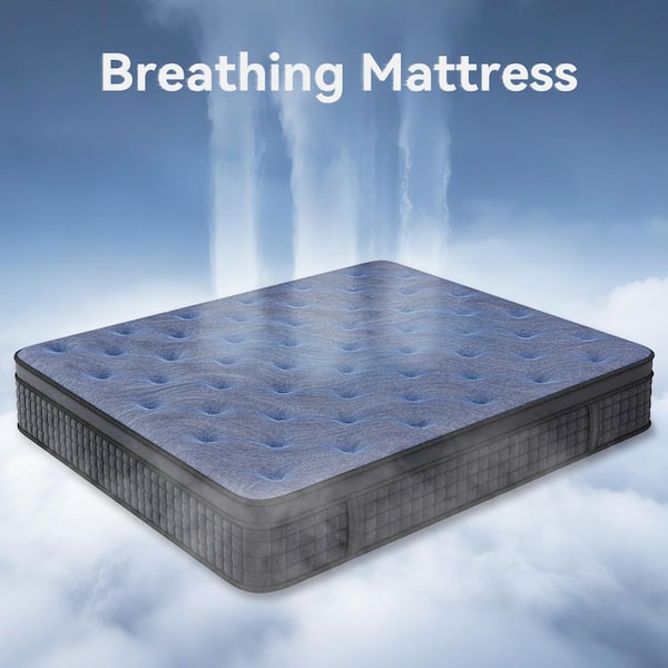 Queen Mattress 12 in., Hybrid Mattress in a Box Medium Firm with Euro Top for Pressure Relief