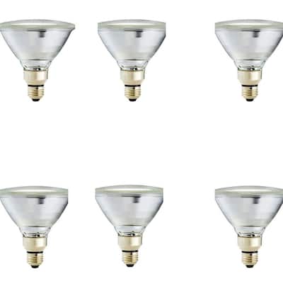 90-Watt Equivalent PAR38 Halogen Indoor/Outdoor Dimmable Flood Light Bulb (6-Pack)