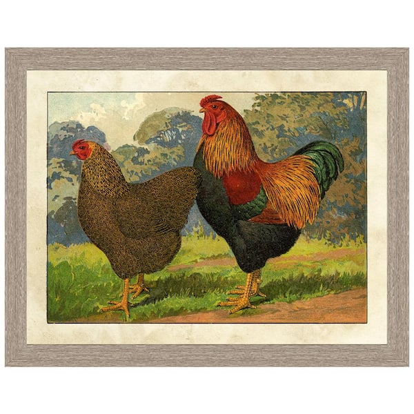 Vintage Print Gallery "Rustic chicken" Framed Archival Paper Wall Art (20x24 in full size)