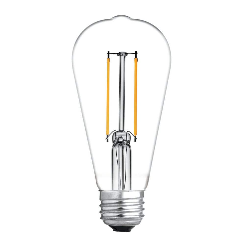 GE 60.0-Watt Equivalent ST19 Straight Tapered Edison style LED Light Bulb Dimmable Bulb 2-Pack