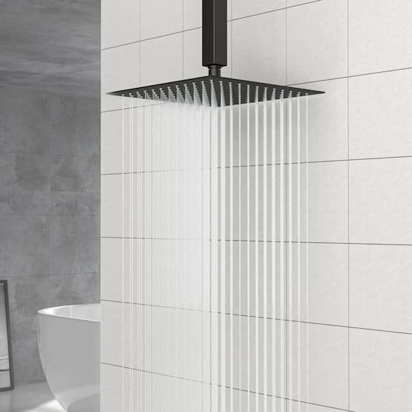 Single Handle 1-Spray Shower Faucet 2.5 GPM with High Pressure in Black
