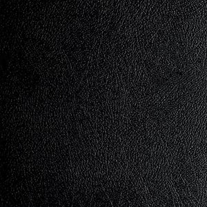 Levant 7.5 ft. x 17 ft. Midnight Black Vinyl Universal Flooring