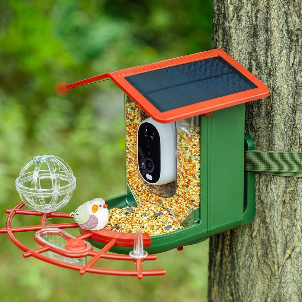 IHOMEadore Plastic Smart Bird Feeder with Camera, Solar-Powered, with AI Recognition and Color Night Vision