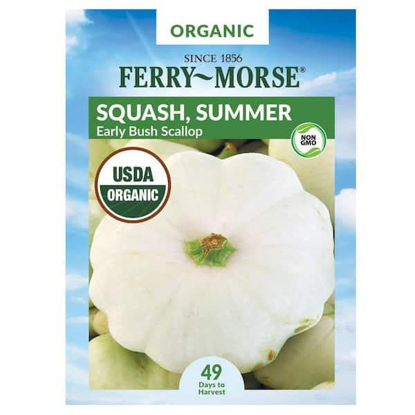 Ferry-Morse Organic Squash Early Bush Scallop Fruit Seed