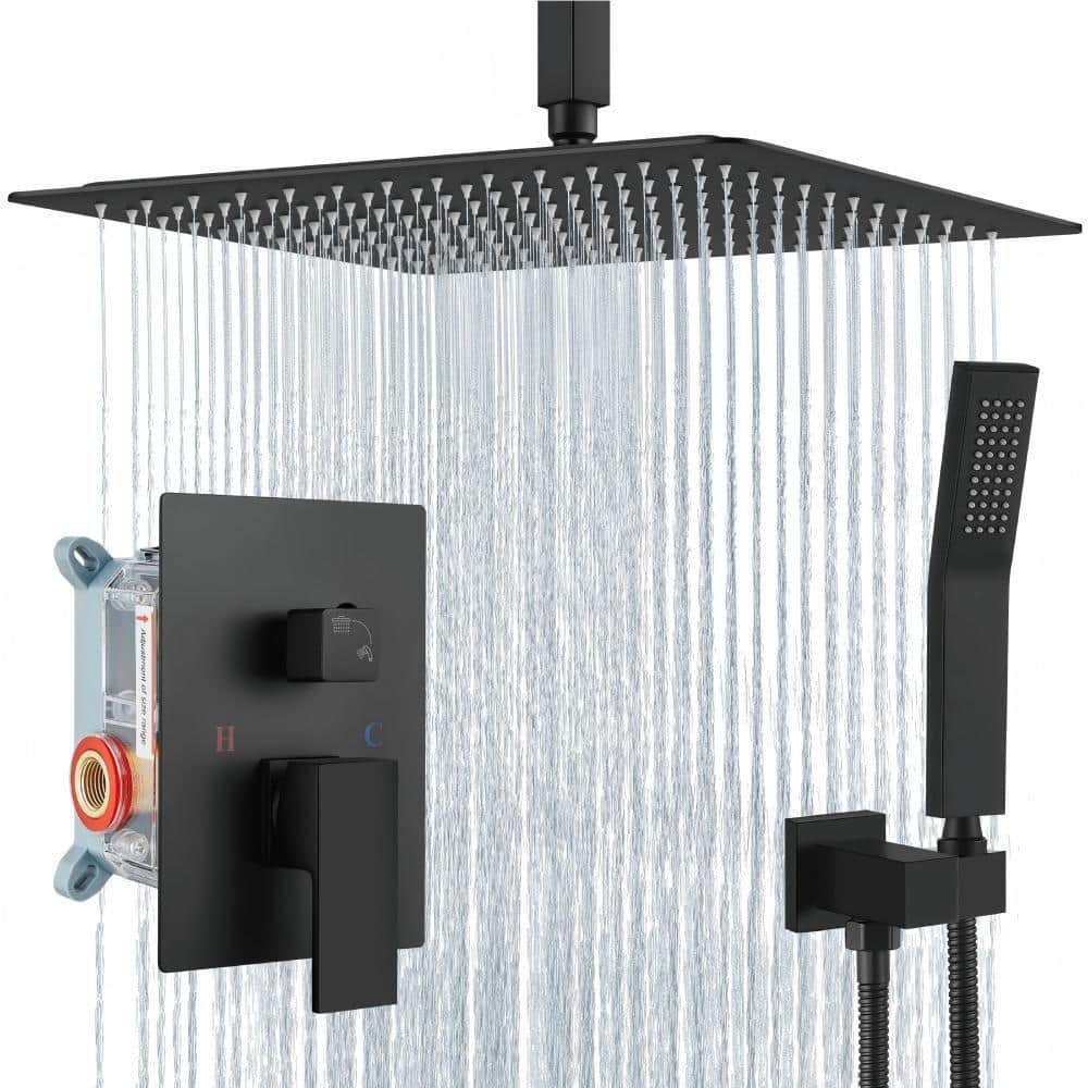 Single Handle 2-Spray Shower Faucet with Handheld Spray High Pressure 16 Inch Shower Faucet Set, in Matte Black price history on PriceWatchPro