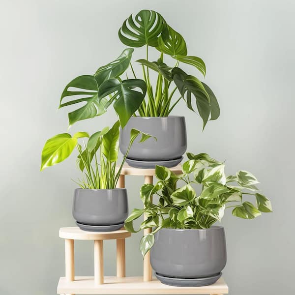 Samll Gray Ceramic Indoor/Outdoor Planter with Saucer (5.9 in. W x 4.4 in.  H) L0DTTSKBNG - The Home Depot