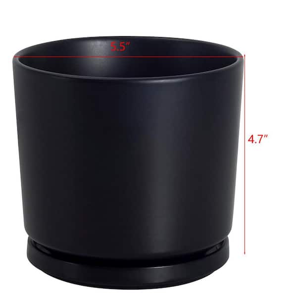 Medium Black Ceramic Indoor/Outdoor Planter with Saucer (5.5 in. W