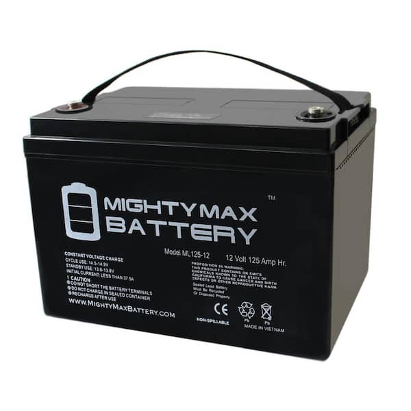 MIGHTY MAX BATTERY 12V 125AH SLA Battery for Zoeller 508 Aquanot Backup Sump
