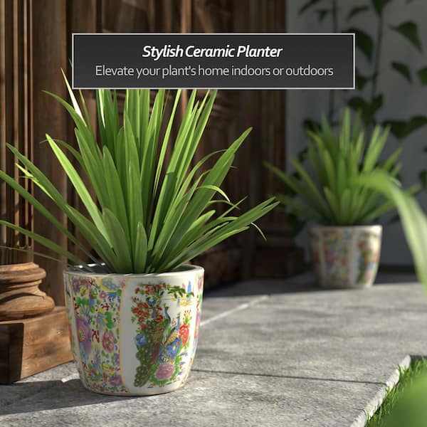 RED LANTERN 10 in. L x 10 in. W Satsuma Peacock Indoor/Outdoor