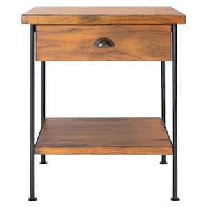 Eris 20 in. Brown/Black/Gold Rectangle Wood Storage End Table
