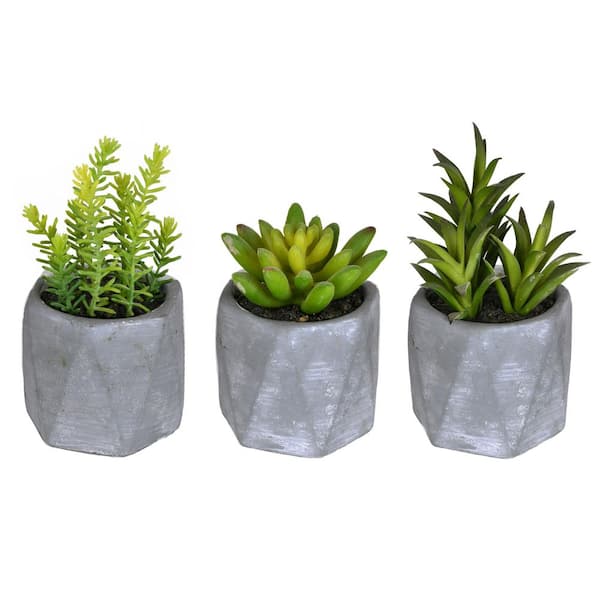 Vickerman 6 in. Green Artificial Succulent Arrangements in Pots