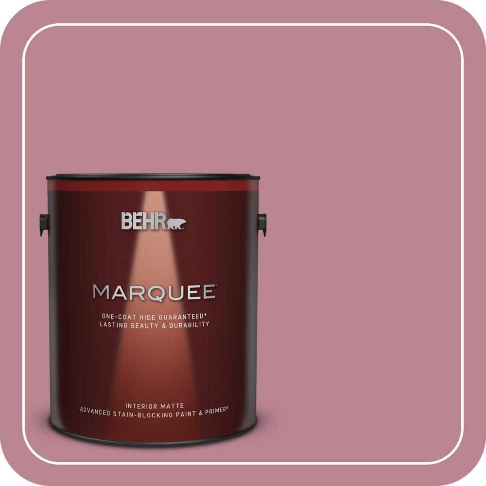 1 gal. #BIC-19 Berry Blush Matte Interior Paint & Primer price history on PriceWatchPro