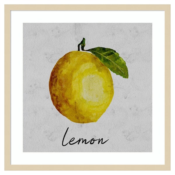 Amanti Art Summertime Citrus II by Regina Moore 25 in. W x 25 in. H. Wood Framed Wall Art Print Framed in Brown